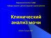 Клинический анализ мочи