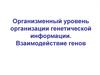 Организменный уровень организации генетической информации. Взаимодействие генов