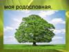 Моя родословная