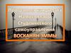 Программа кандидата на пост главы студенческого самоуправления