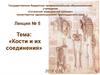 Кости и их соединения. (Лекция 5)