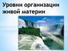 Уровни организации живой материи