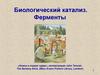 Биологический катализ. Ферменты