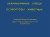 Акариформные клещи. Псороптозы животных