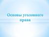 Основы уголовного права