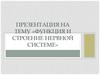 Функция и строение нервной системы