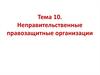 Международные неправительственные правозащитные организации