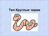 Тип круглые черви