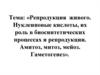 Репродукция живого. Нуклеиновые кислоты, их роль в биосинтетических процессах и репродукции. Амитоз, митоз, мейоз. Гаметогенез