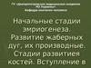 Начальные стадии эмриогенеза. Развитие жаберных дуг, их производные. Стадии развитиея костей. Вступление в остеологию
