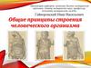 Строение человеческого организма