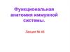 Функциональная анатомия иммунной системы