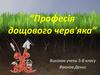 Професія дощового черв'яка