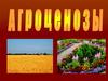 Агреценозы (искусственные экосистемы)