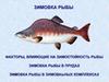 Зимовка рыбы