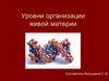 Уровни организации живой материи