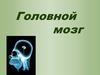 Головной мозг. Ствол, мозжечок, конечный мозг