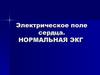 Электрическое поле сердца. Нормальная ЭКГ