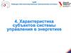 Характеристика субъектов системы управления в энергетике