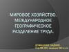 Мировое хозяйство. Международное географическое разделение труда
