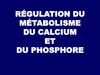 Régulation du métabolisme du calcium et du phosphore