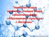 Наиболее острые проблемы, стоящие перед субъектами сферы «Образование и культура» г. Костромы
