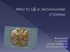 Место ЦБ в экономике страны