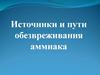 Обмен белков. Источники и пути обезвреживания аммиака. (Лекция 15)