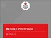 Merrild portfolio