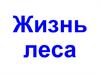 Жизнь леса