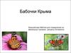 Бабочки Крыма