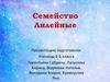 Семейство лилейные