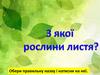 З якої рослини листя.  Тренажер