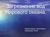 Загрязнение вод мирового океана