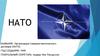 Организация Североатлантического договора (НАТО)