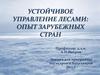Устойчивое управление лесами: опыт зарубежных стран
