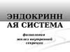 Эндокринная система. Физиология желез внутренней секреции