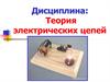 Теория электрических цепей