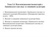 Взаємовідносини інспекторів з банківського нагляду та зовнішніх аудиторів. (Тема 2.4)