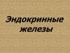 Эндокринные железы
