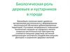 Биологическая роль деревьев и кустарников в городе