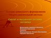 Условия правильного формирования Опорно-двигательной системы. Скелет и мышечная система человека