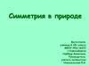 Симметрия в природе