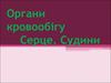 Органи кровообігу Серце. Судини
