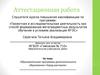 Аттестационная работа. Образовательная программа дополнительного образования «Город мастеров»
