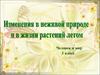 Изменения в неживой природе и в жизни растений летом (человек и мир, 1 класс)