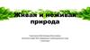 Живая и неживая природа