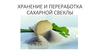 Хранение и переработка сахарной свеклы