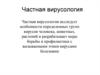 Частная вирусология. Бешенство