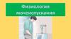 Физиология мочеиспускания